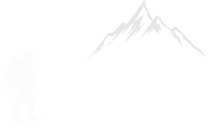 Logo Thethi Info